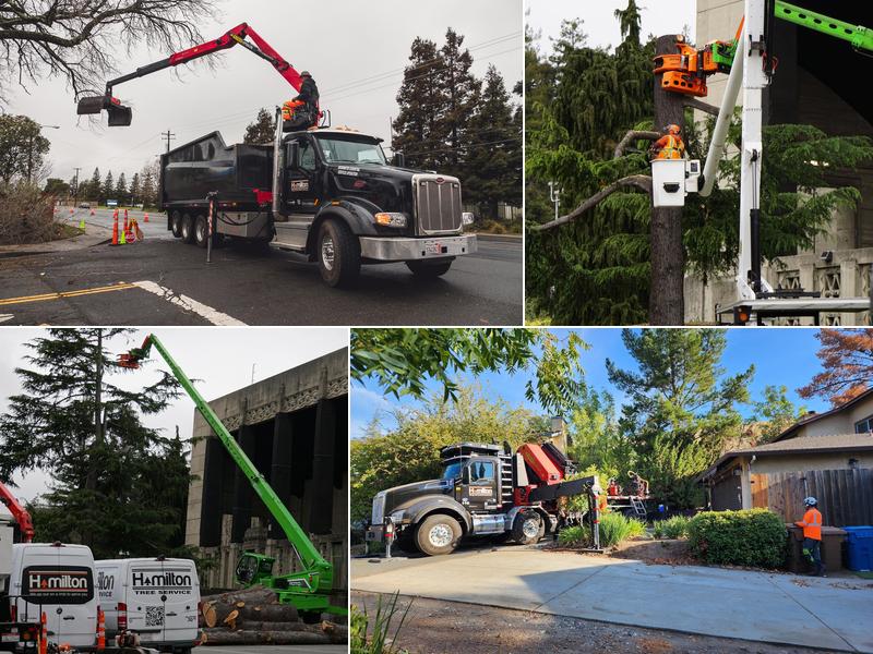 Hamilton Tree Service, Inc.