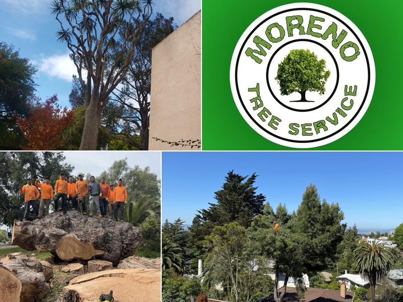 Moreno Tree Service
