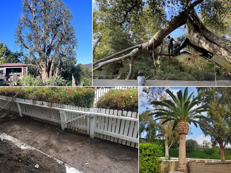 Reliable Tree Service