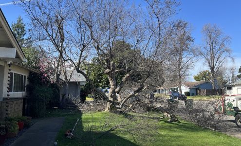 North Valley Tree Service