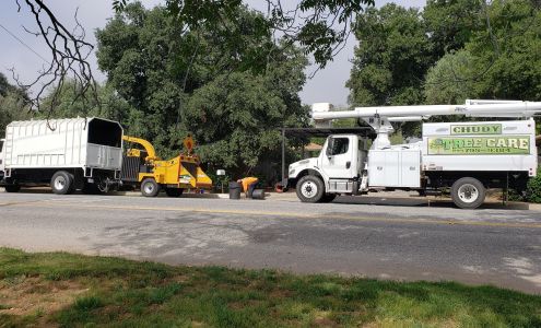 Chudy Tree Care
