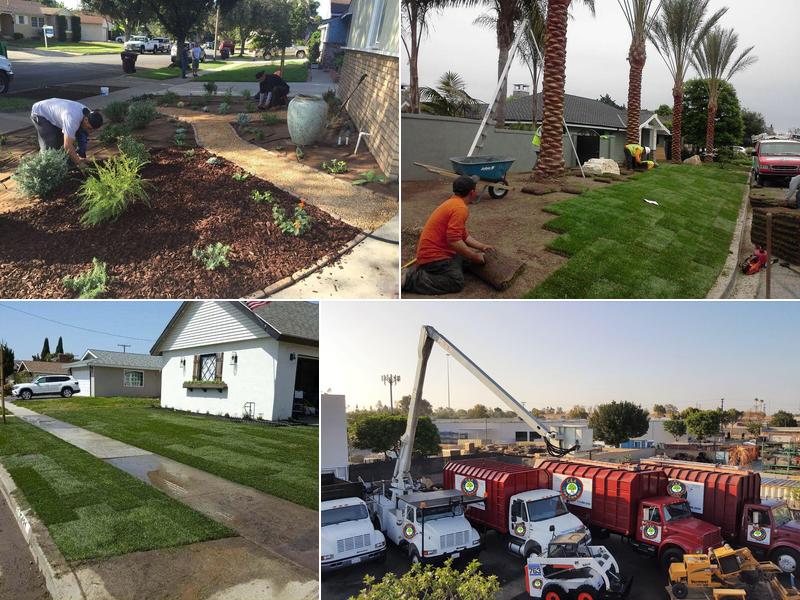 C&A Tree Care Inc