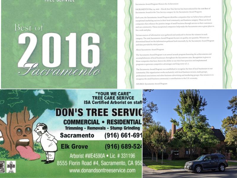 Don's Tree Service
