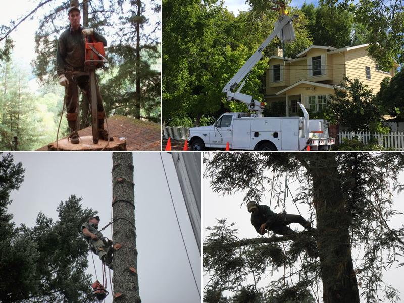 Valley Tree Service