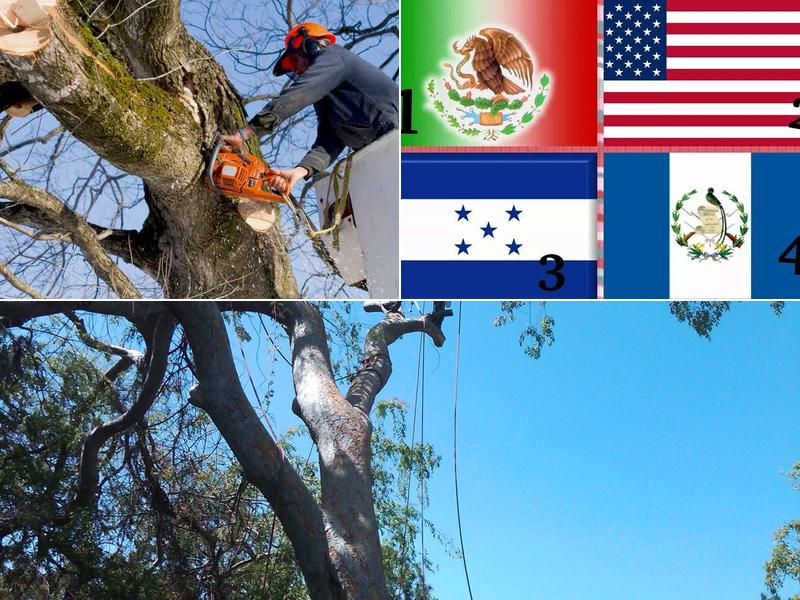 j&j tree service inc