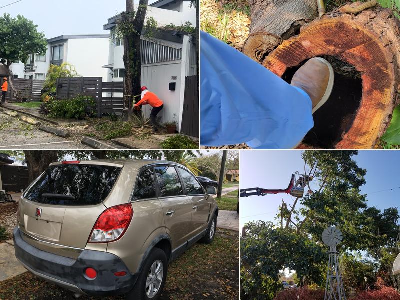 Big Ron’s Tree Service