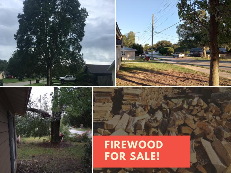 Jack Miller's Tree Service