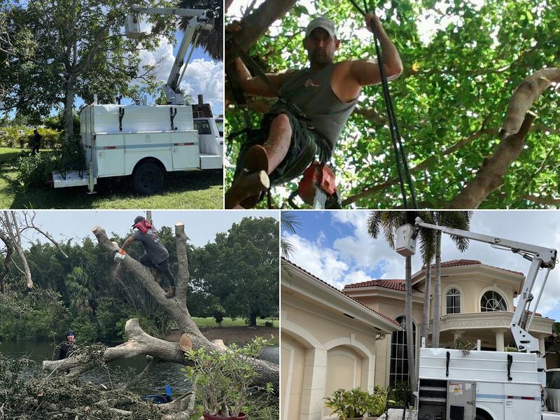 Seminole Tree Service. LLC