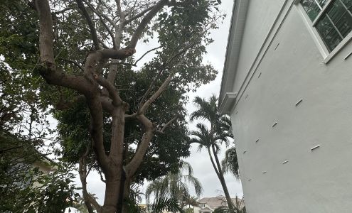 Countywide Tree Service