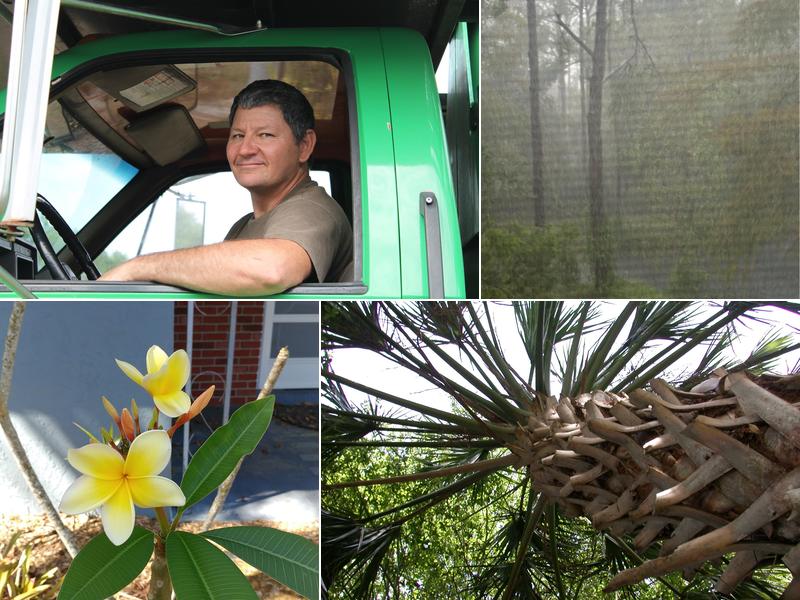 RAW Tree Service LLC