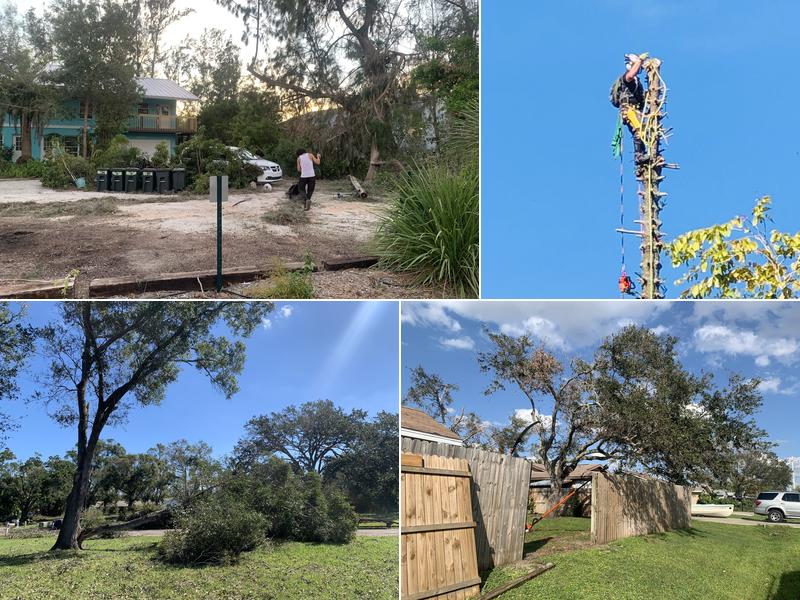 Elite Quality Tree & Stump-Grinding Llc