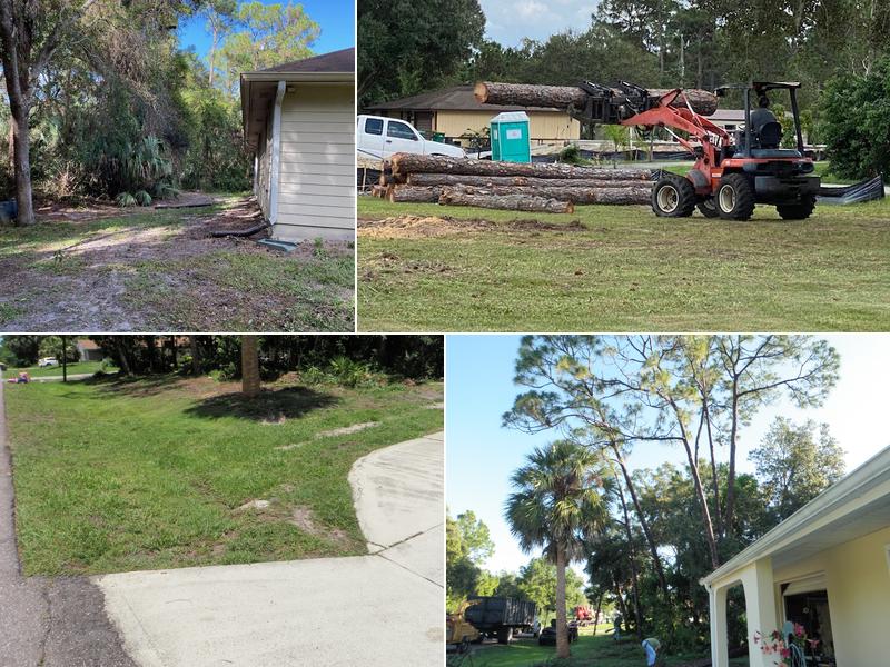 Steve Hazeltine Tree Services