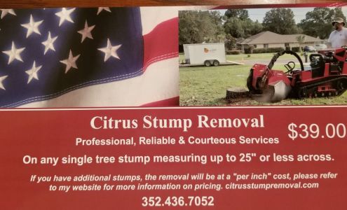 Citrus Stump Removal
