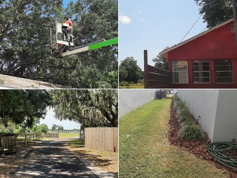 K & C Tree & Shrub Services