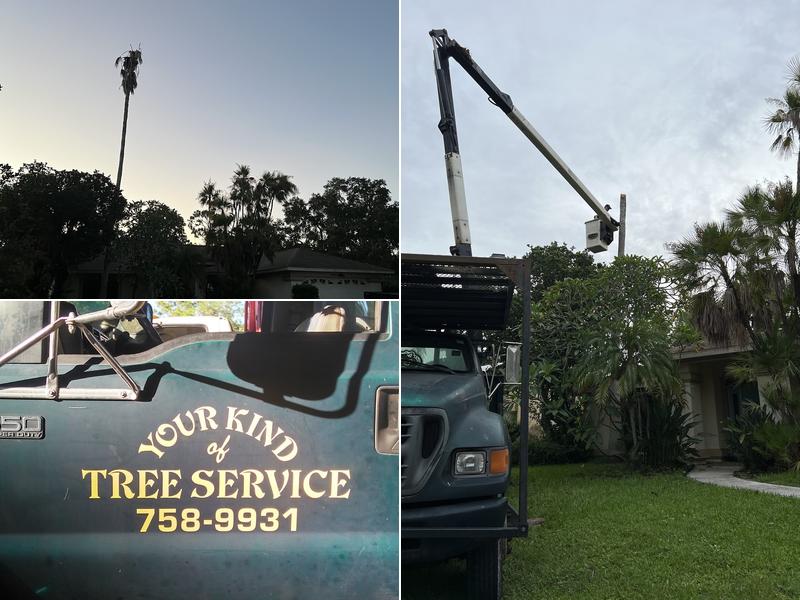 Your Kind of Tree Services