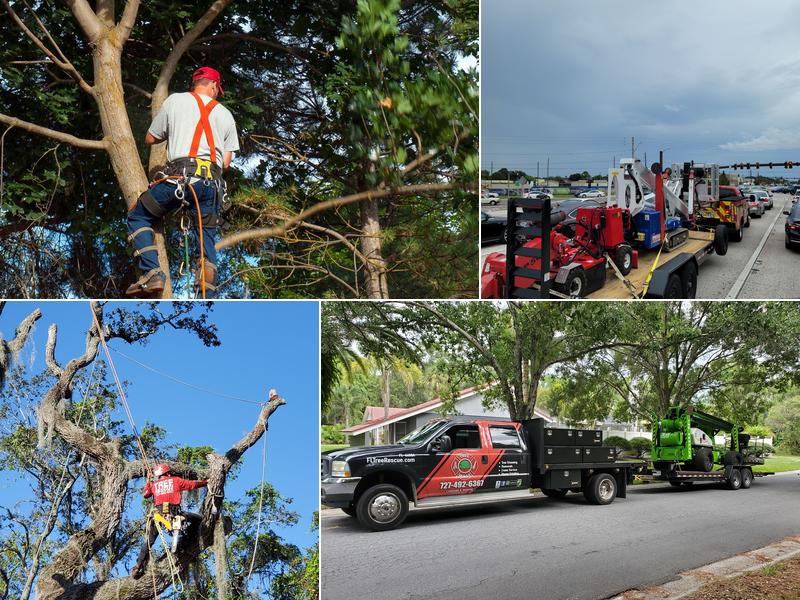 Tree Rescue, LLC