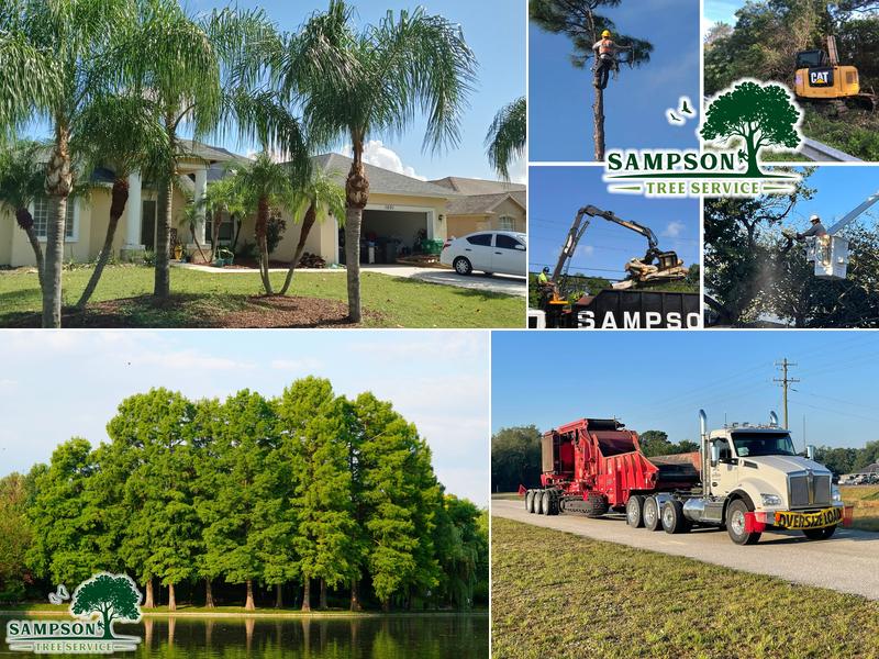 Sampson Tree Service