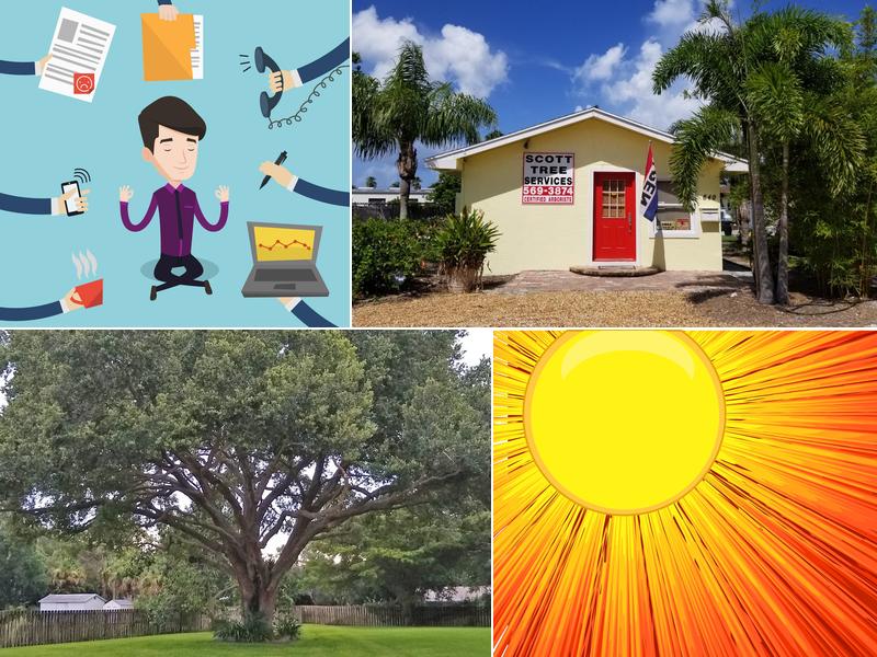 Scott Tree Services TC