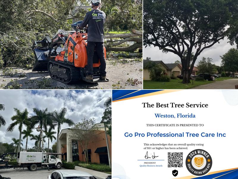 Go Pro Professional Tree Care Inc.