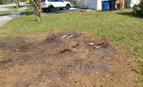 Xtream Stump Grinding