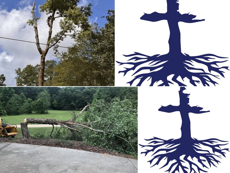 Thomas Tree Solutions