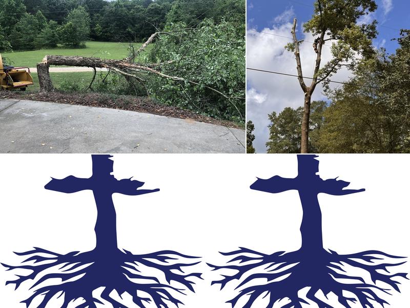 Thomas Tree Solutions