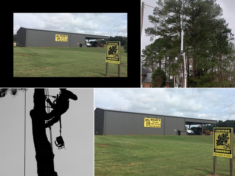 Bear’s Insured Tree Service