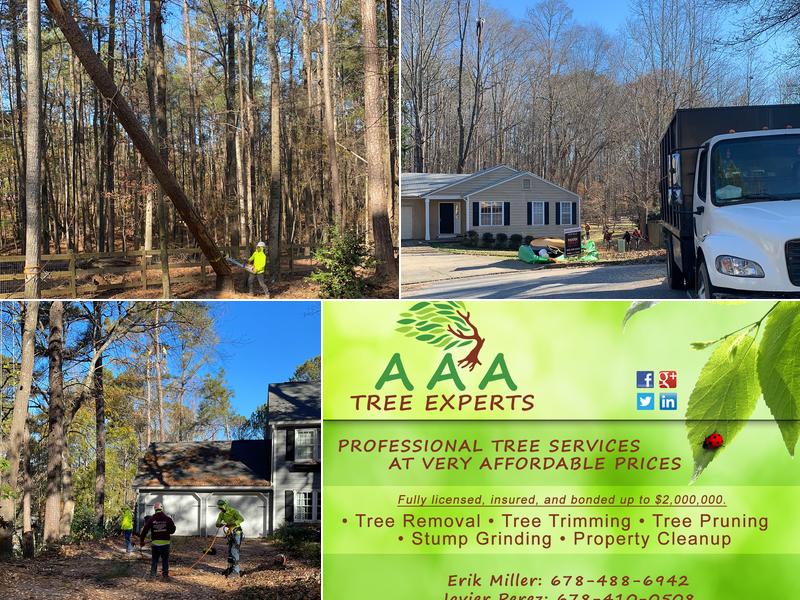 AAA Tree Experts