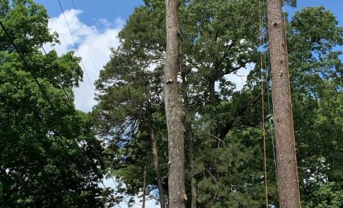 JJ'S Landscape and Tree service LLC