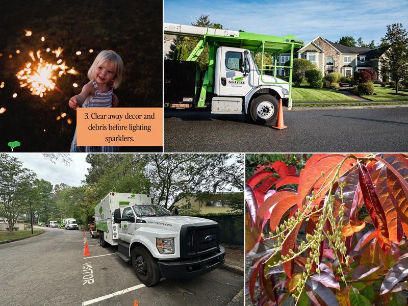 SavATree - Tree Service & Lawn Care