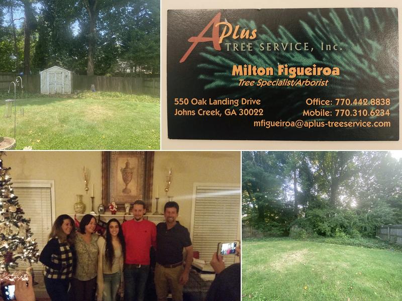 A Plus Tree Services