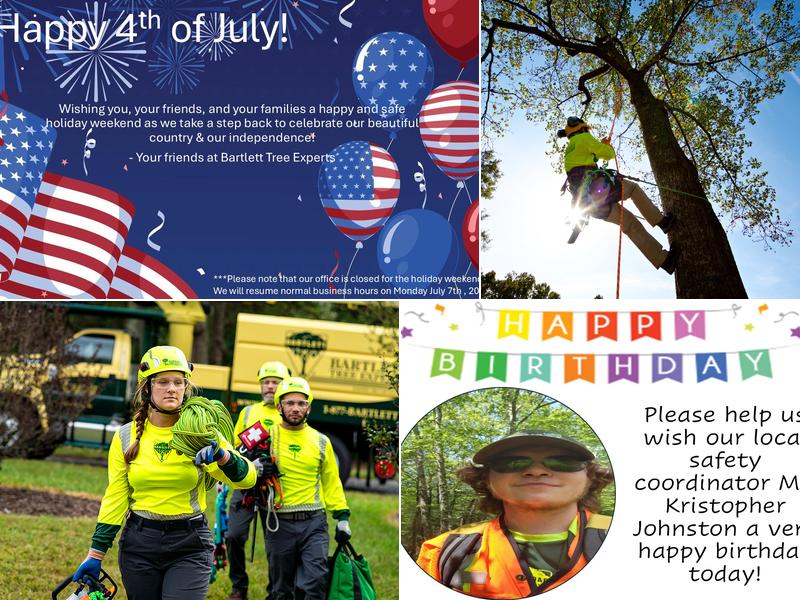 Bartlett Tree Experts