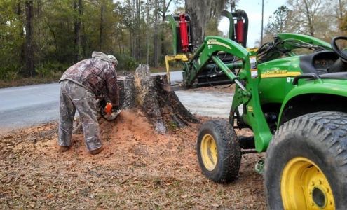 Down to Earth Tree Service