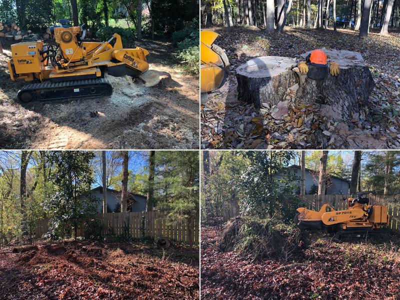 GA 400 Tree & Stump Removal