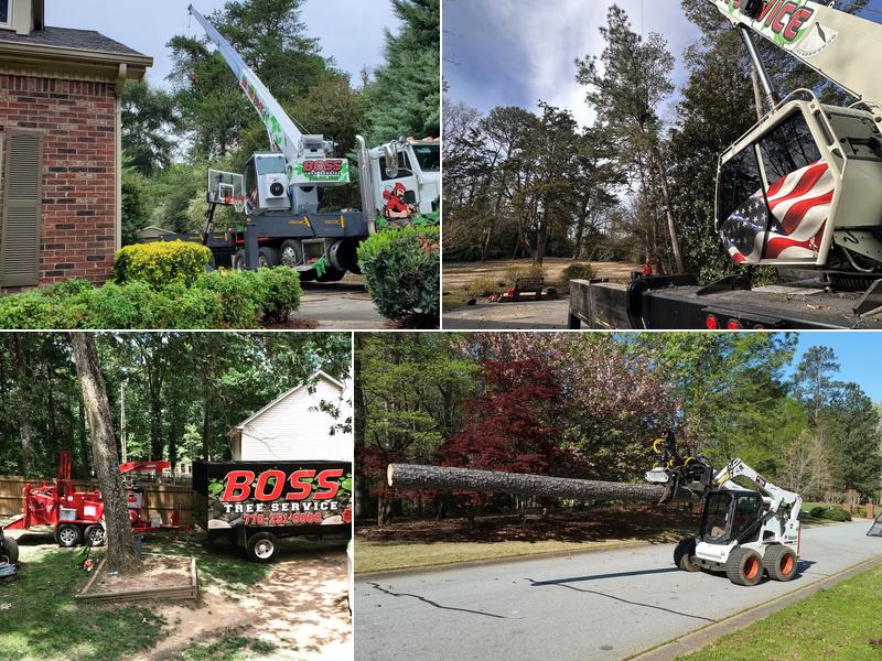 Boss Tree Service