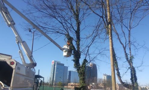 G & G Tree Service 859 County Line Rd W, Covington Georgia 30016