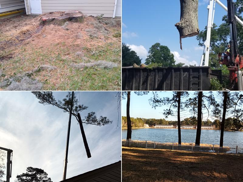 A & R Tree Service, Inc