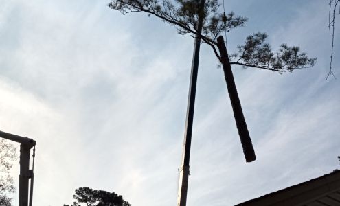 A & R Tree Service, Inc