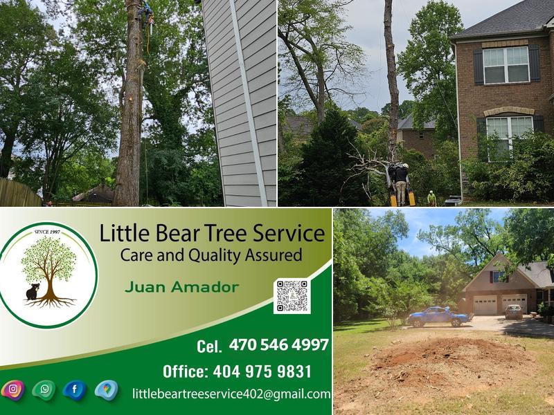 Little Bear Tree Service