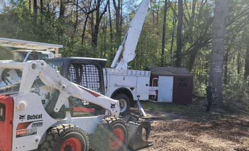 Soles Tree Services 1102 Snellbridge Rd, East Dublin Georgia 31027