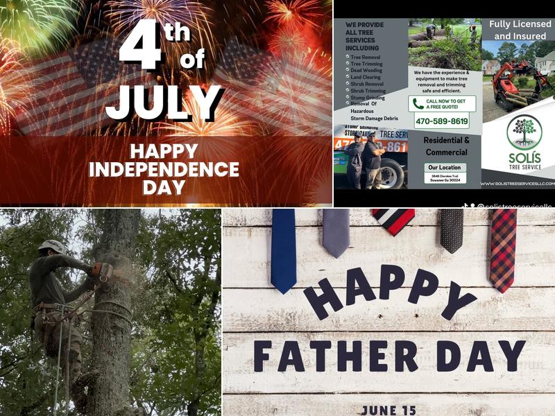 Solis Tree Service LLC