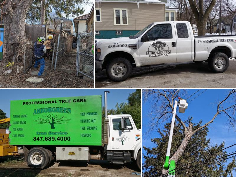 Arborgreen Tree Service