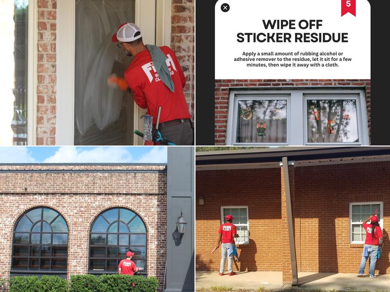 Fish Window Cleaning