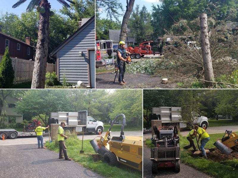 Brown Tree Service Inc