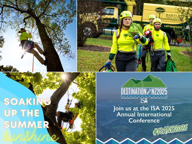 Bartlett Tree Experts