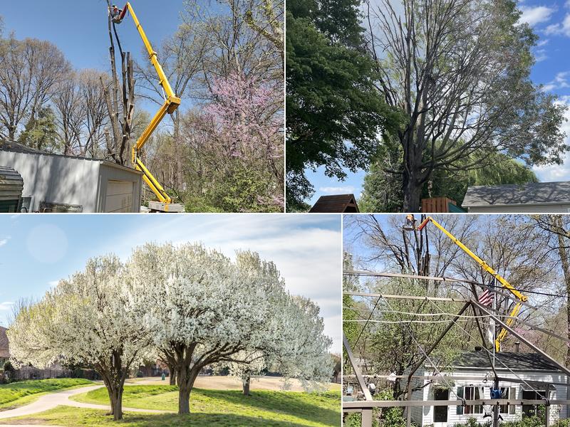 Merritt's Tree Services