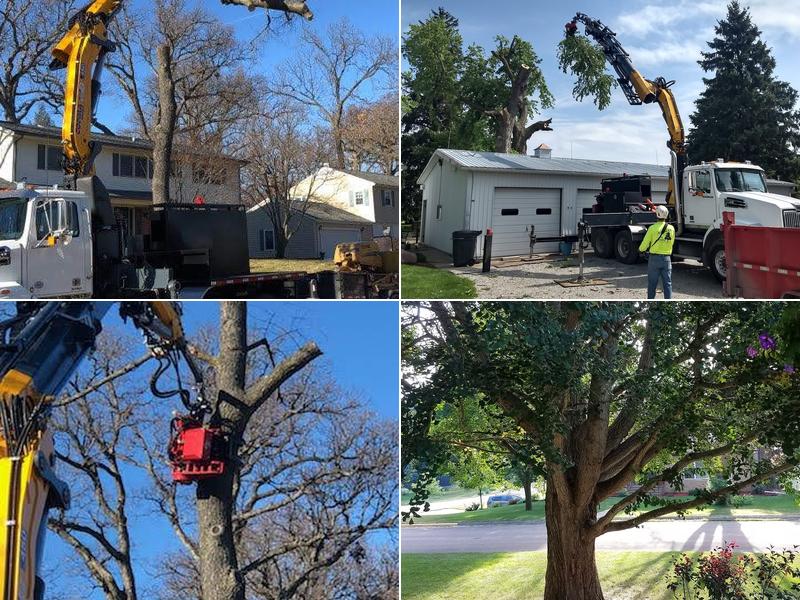 Acadian Tree Service