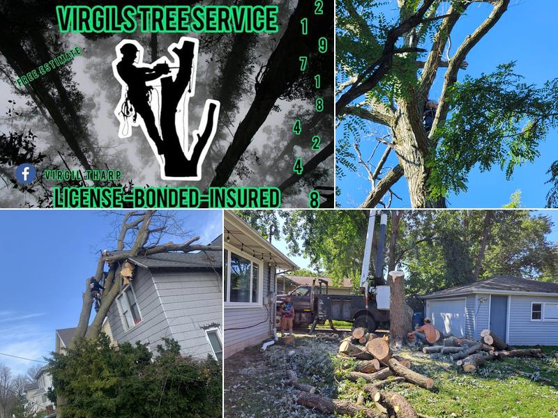 Virgils Tree Service