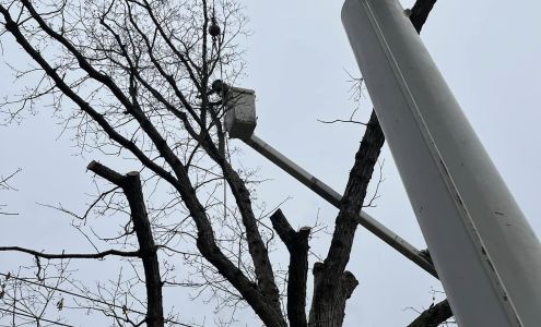 Down To Earth Tree Service 916 W 145th Ave, Winfield Indiana 46307