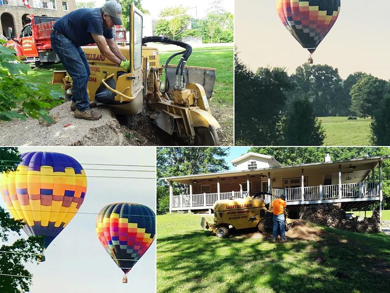 Larry Gilliland Stump Removal